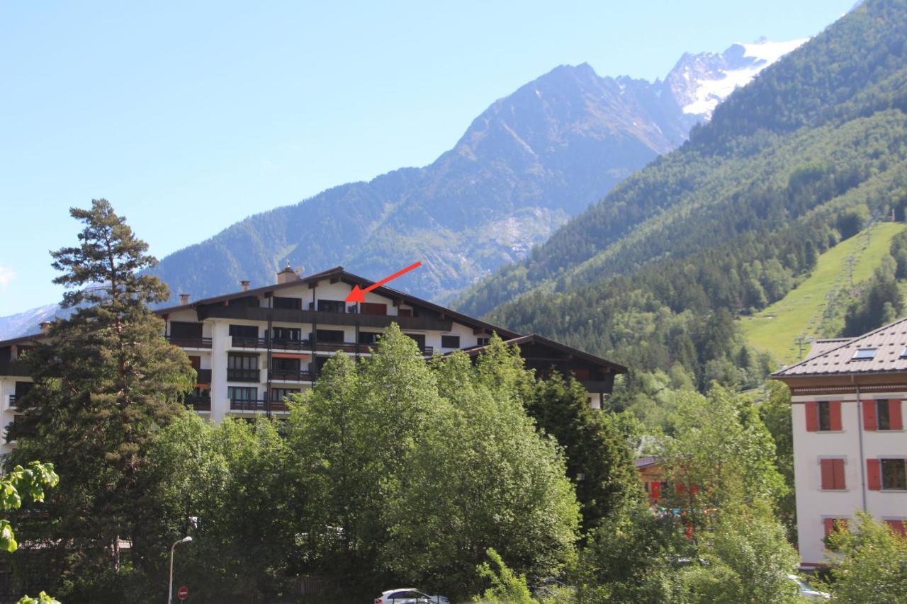 Apartamento Mont-blanc Idéalement Situé Chamonix Mont Blanc